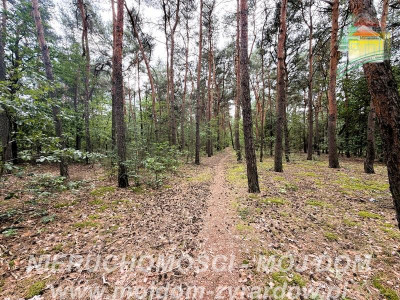 Działka z potencjałem inwestycyjnym - Mrozy  -
Mazowieckie Zdjęcie nr 4