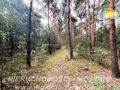 Działka z potencjałem inwestycyjnym - Mrozy  -
Mazowieckie Zdjęcie nr 5
