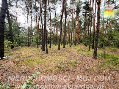 Działka z potencjałem inwestycyjnym - Mrozy  -
Mazowieckie Zdjęcie nr 6