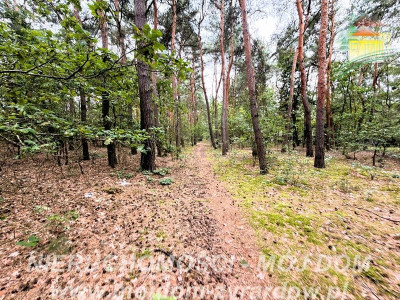 Działka z potencjałem inwestycyjnym - Mrozy  -
Mazowieckie Zdjęcie nr 7