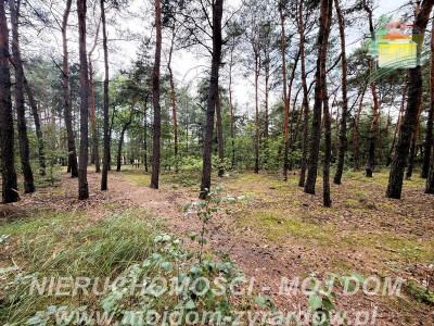 Działka z potencjałem inwestycyjnym - Mrozy  -
Mazowieckie Zdjęcie nr 9
