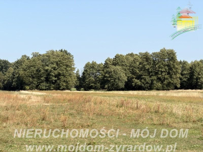 Duża działka w spokojnej i zielonej okolicy - Aleksandria  - Mazowieckie