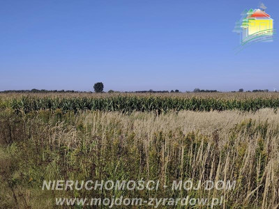 Działka rolna w atrakcyjnej cenie Kamionka - Kamionka  - Mazowieckie