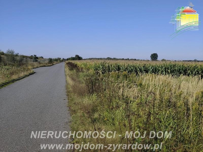 Działka rolna w atrakcyjnej cenie Kamionka - Kamionka  -
Mazowieckie Zdjęcie nr 2