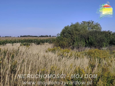Działka rolna w atrakcyjnej cenie Kamionka - Kamionka  -
Mazowieckie Zdjęcie nr 3