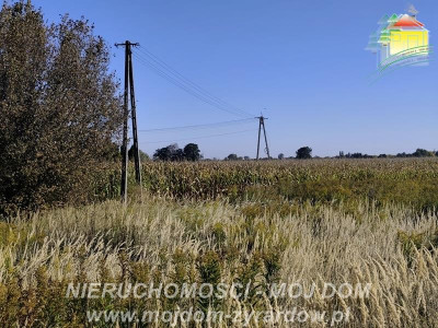 Działka rolna w atrakcyjnej cenie Kamionka - Kamionka  -
Mazowieckie Zdjęcie nr 4