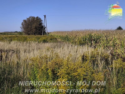 Działka rolna w atrakcyjnej cenie Kamionka - Kamionka  -
Mazowieckie Zdjęcie nr 5