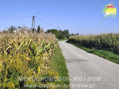 Działka rolna w atrakcyjnej cenie Kamionka - Kamionka  -
Mazowieckie Zdjęcie nr 6