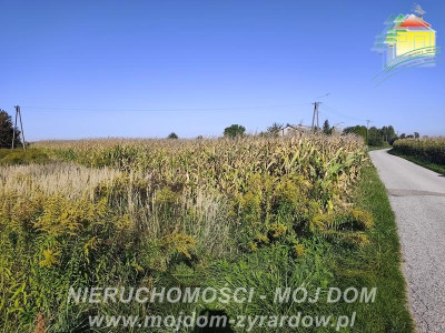 Działka rolna w atrakcyjnej cenie Kamionka - Kamionka  -
Mazowieckie Zdjęcie nr 7