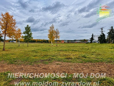 Atrakcyjne działki Radziejowice -Parcel - Radziejowice-Parcel  -
Mazowieckie Zdjęcie nr 6