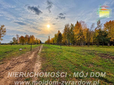 Działki w Radziejowice -Parcel  blisko natury i trasy S8 - Radziejowice-Parcel  - Mazowieckie