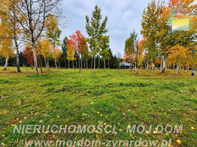 Działki w Radziejowice Parcel  - Radziejowice-Parcel  -
Mazowieckie Zdjęcie nr 11