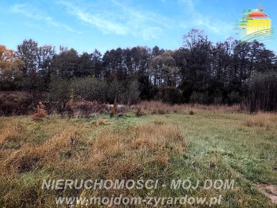 Działka w pięknej okolicy blisko Radziejowic - Zboiska  -
Mazowieckie Zdjęcie nr 2