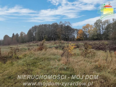 Działka w pięknej okolicy blisko Radziejowic - Zboiska  -
Mazowieckie Zdjęcie nr 3