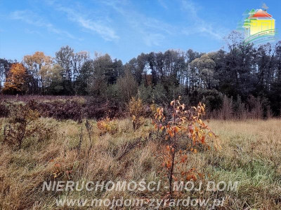 Działka w pięknej okolicy blisko Radziejowic - Zboiska  -
Mazowieckie Zdjęcie nr 6