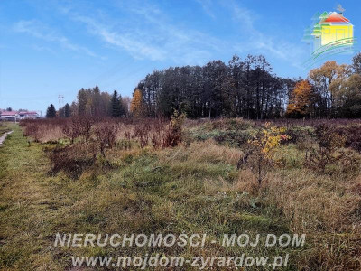Działka w pięknej okolicy blisko Radziejowic - Zboiska  -
Mazowieckie Zdjęcie nr 7