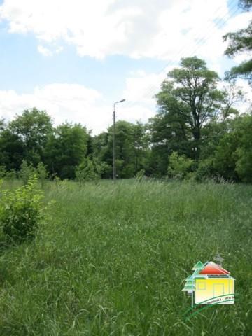 Działka rolna - Gąba   -
Mazowieckie Zdjęcie nr 3