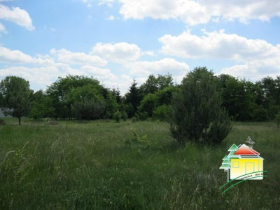 Działka rolna - Gąba   -
Mazowieckie Zdjęcie nr 4