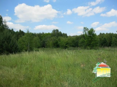 Działka rolna - Gąba   -
Mazowieckie Zdjęcie nr 5
