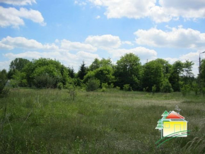 Działka rolna - Gąba   -
Mazowieckie Zdjęcie nr 6