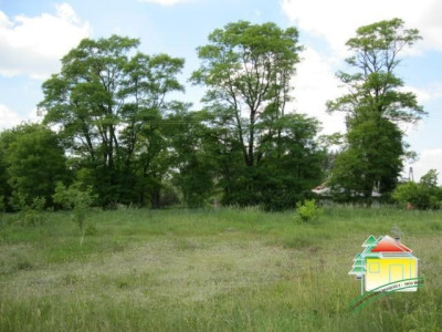 Działka rolna - Gąba   -
Mazowieckie Zdjęcie nr 7