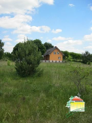 Działka rolna - Gąba   -
Mazowieckie Zdjęcie nr 8