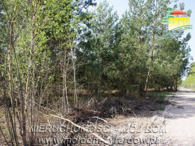 Działka budowlana - Jaktorów   -
Mazowieckie Zdjęcie nr 5