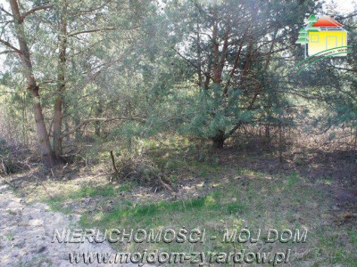 Działka budowlana - Jaktorów   -
Mazowieckie Zdjęcie nr 6