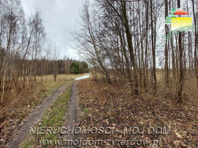 Duża działka 2 ha blisko Wiskitek - Starowiskitki   -
Mazowieckie