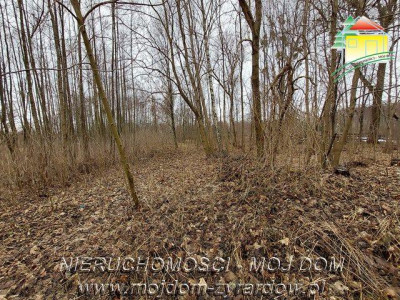 Duża działka 2 ha blisko Wiskitek - Starowiskitki   -
Mazowieckie Zdjęcie nr 2