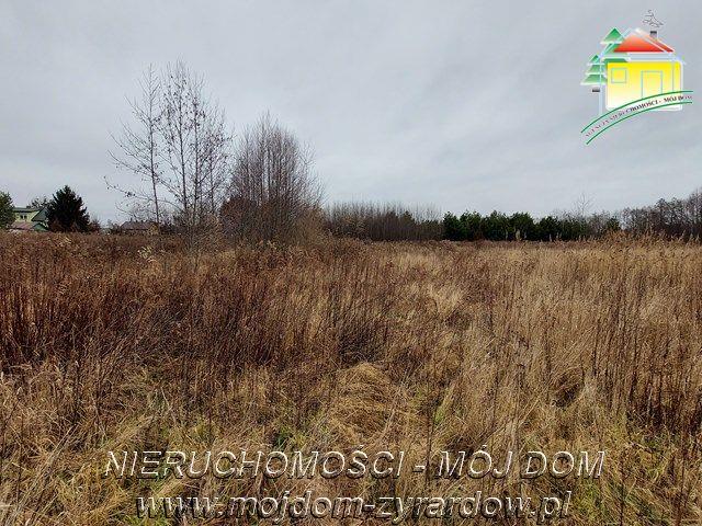 Działka budowlana 2250 m2 w pierwszej linii zabudowy - Jaktorów   -
Mazowieckie Zdjęcie nr 1