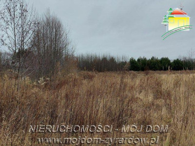Oferta dla dewelopera ładna podzielona działka - Jaktorów   -
Mazowieckie Zdjęcie nr 2