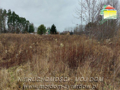 Działka budowlana 2250 m2 z mediami na działce - Jaktorów   -
Mazowieckie Zdjęcie nr 5