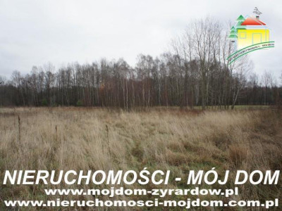 Działka budowlana - Adamów-Parcel   -
Mazowieckie Zdjęcie nr 3