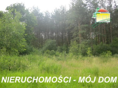Działka rolno-budowlana - Popielarnia   -
Mazowieckie Zdjęcie nr 2