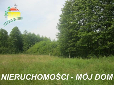 Działka rolno-budowlana - Popielarnia   -
Mazowieckie Zdjęcie nr 3