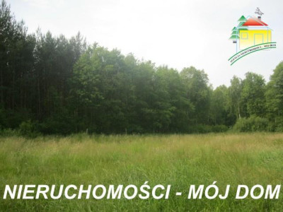 Działka rolno-budowlana - Popielarnia   -
Mazowieckie Zdjęcie nr 4