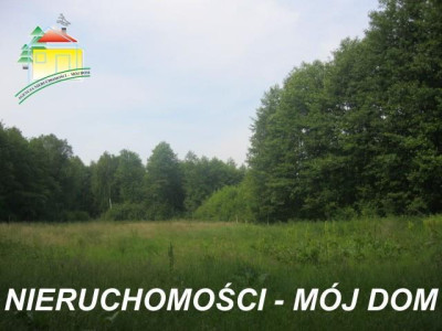 Działka rolno-budowlana - Popielarnia   -
Mazowieckie Zdjęcie nr 5