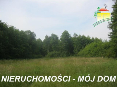 Działka rolno-budowlana - Popielarnia   -
Mazowieckie Zdjęcie nr 6