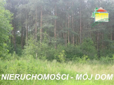 Działka rolno-budowlana - Popielarnia   -
Mazowieckie Zdjęcie nr 7