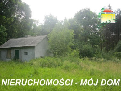 Działka rolno-budowlana - Popielarnia   -
Mazowieckie Zdjęcie nr 8