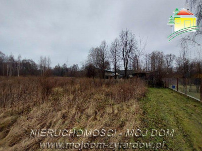 Działka siedlisko - Stare Budy   -
Mazowieckie Zdjęcie nr 5