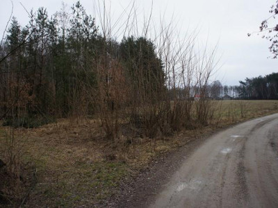 Działka rolno-budowlana - Michalin   -
Mazowieckie Zdjęcie nr 2