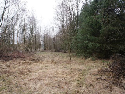 Działka rolno-budowlana - Michalin   -
Mazowieckie Zdjęcie nr 3
