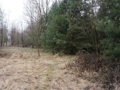 Działka rolno-budowlana - Michalin   -
Mazowieckie Zdjęcie nr 4