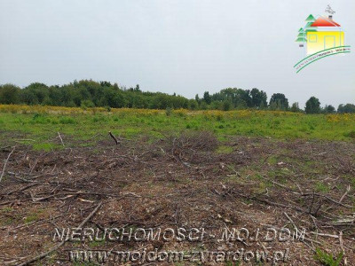 Działka w okolicy Mszczonowa - Mszczonów   -
Mazowieckie Zdjęcie nr 2