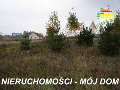 Działka rolno-budowlana - Suszeniec   -
Mazowieckie Zdjęcie nr 8
