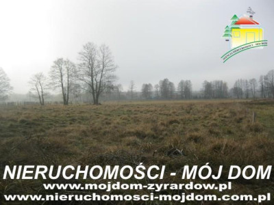 Działka rolno-budowlana - Sokule   -
Mazowieckie Zdjęcie nr 2