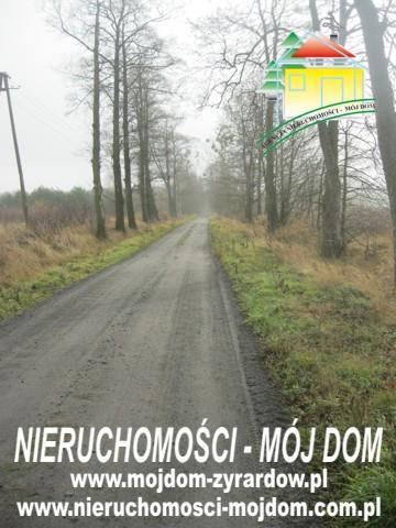 Działka rolno-budowlana - Sokule   -
Mazowieckie Zdjęcie nr 3