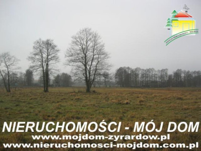 Działka rolno-budowlana - Sokule   -
Mazowieckie Zdjęcie nr 4